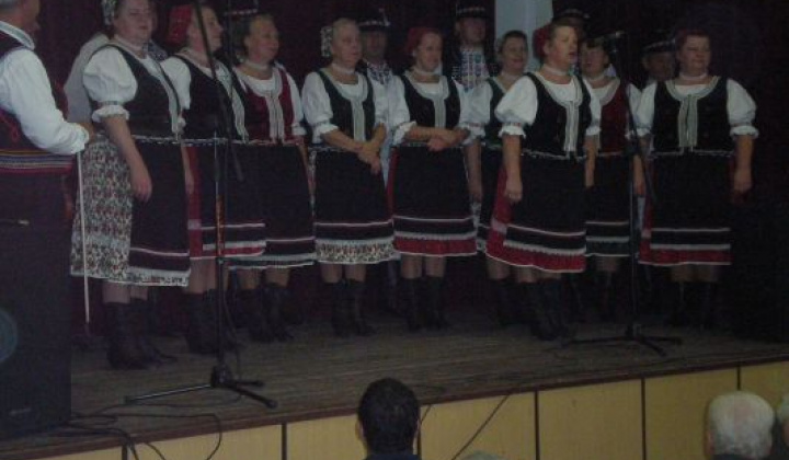 10. fotografia fotogalérie Rok 2010