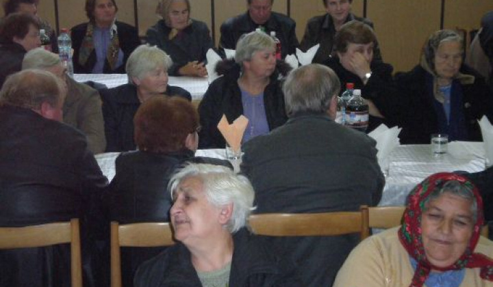 11. fotografia fotogalérie Rok 2010