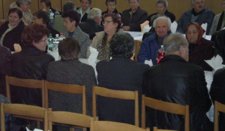 12. fotografia fotogalérie Rok 2010