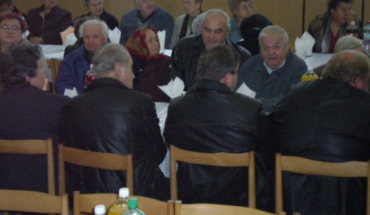 14. fotografia fotogalérie Rok 2010