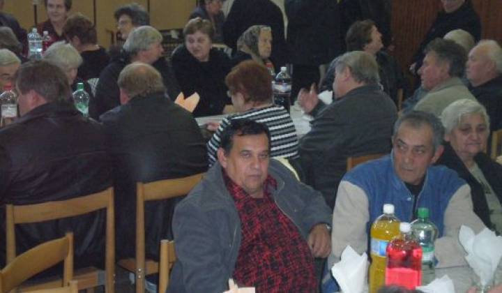 22. fotografia fotogalérie Rok 2010