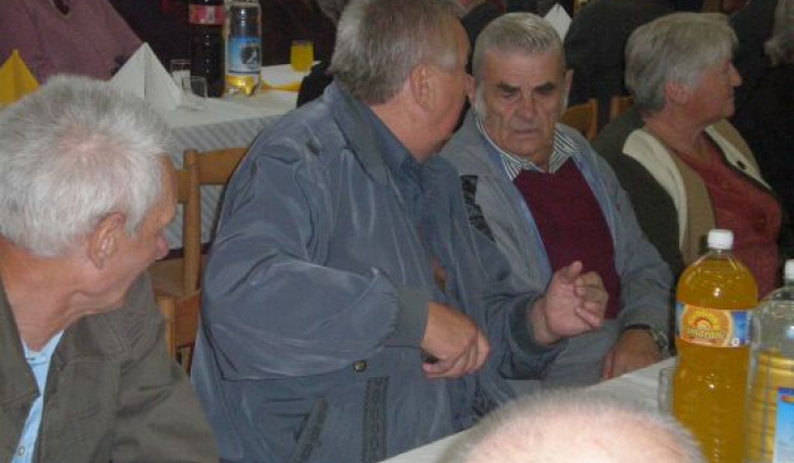 13. fotografia fotogalérie Rok 2009