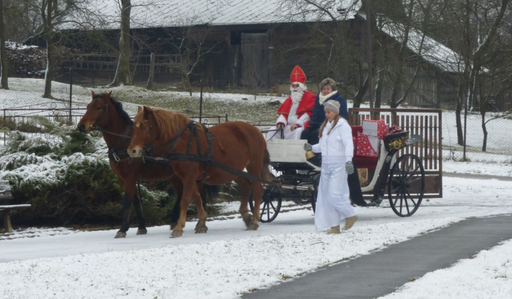 1. fotografia fotogalérie 2017