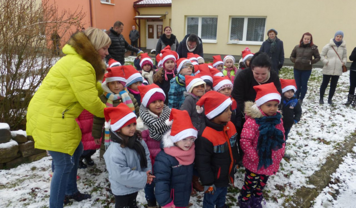 7. fotografia fotogalérie 2017