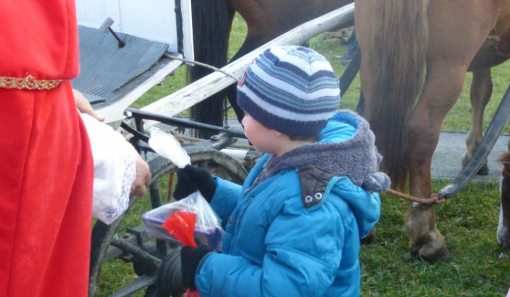 17. fotografia fotogalérie 2016