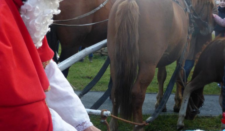 18. fotografia fotogalérie 2016