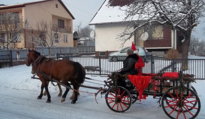 2. fotografia fotogalérie 2012