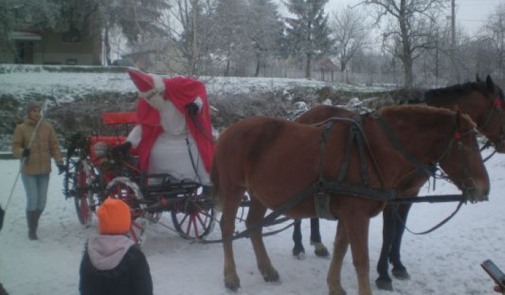 11. fotografia fotogalérie 2012