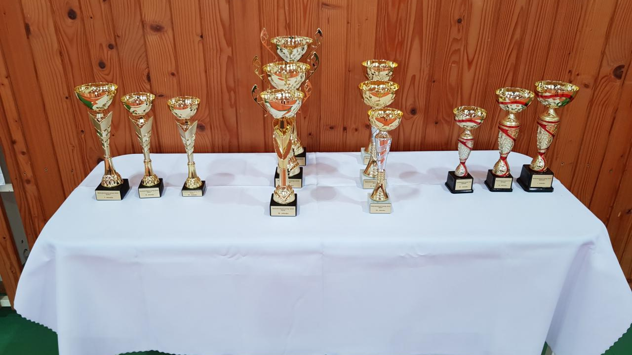 Fotografia fotogalérie Stolnotenisový turnaj