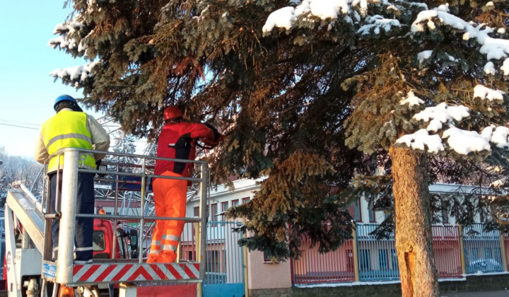 1. fotografia fotogalérie Výrub/okliesnenie stromov - foto