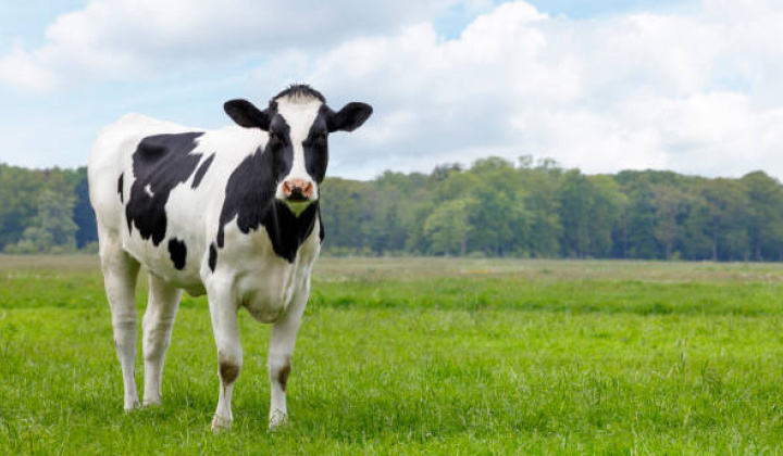 1. fotografia fotogalérie Mimoriadne núdzové opatrenia SLAK 2025 - foto