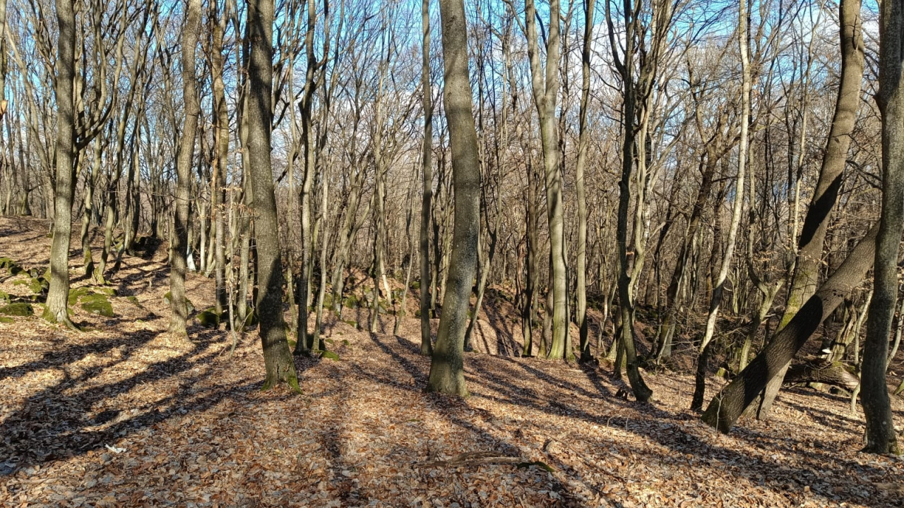 Fotografia fotogalérie Krása prírody našej Obce 