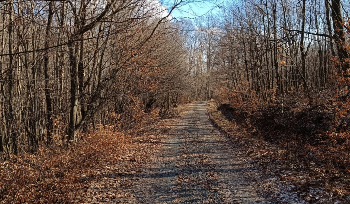 4. fotografia fotogalérie Krása prírody našej Obce 