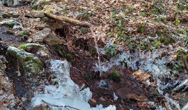 5. fotografia fotogalérie Krása prírody našej Obce 