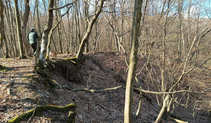 8. fotografia fotogalérie Krása prírody našej Obce 