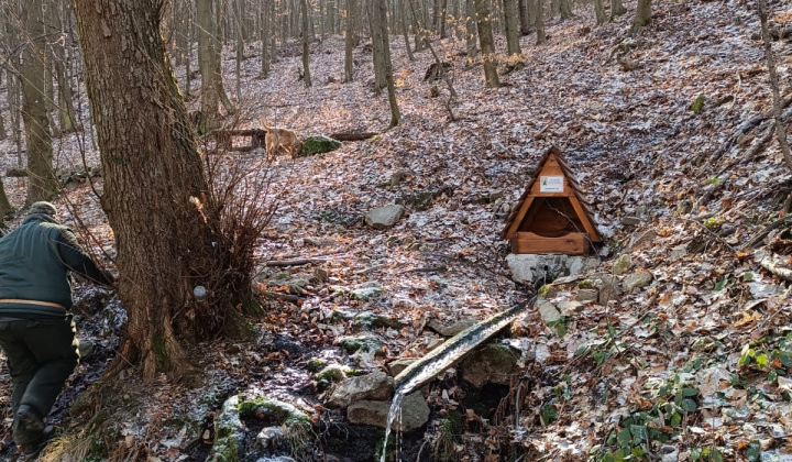 9. fotografia fotogalérie Krása prírody našej Obce 