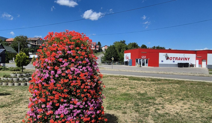 2. fotografia fotogalérie Keď obec rozkvitne
