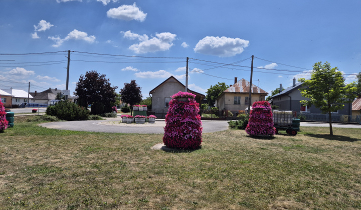 2. fotografia fotogalérie Kvety v našej obci 