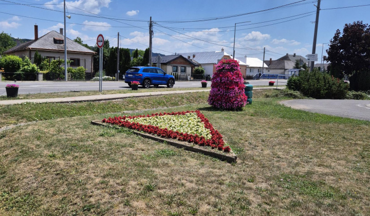 3. fotografia fotogalérie Kvety v našej obci 